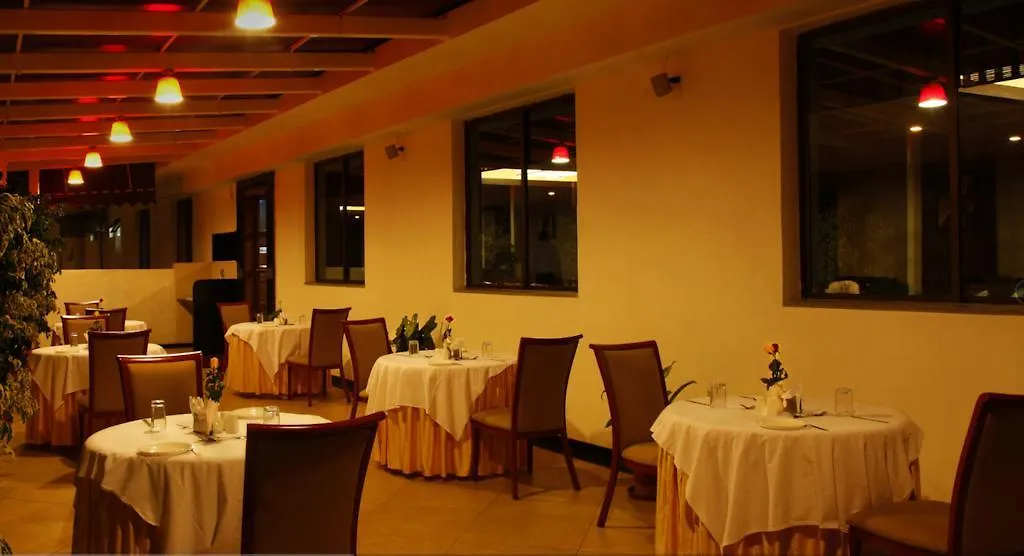 The Atrium Boutique Hotel 迈索尔